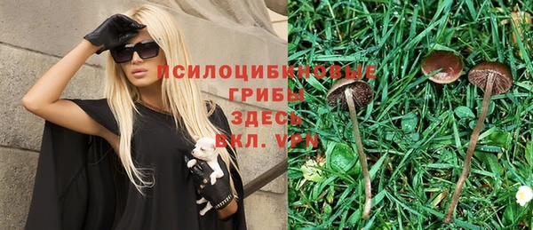 дмт Богородицк