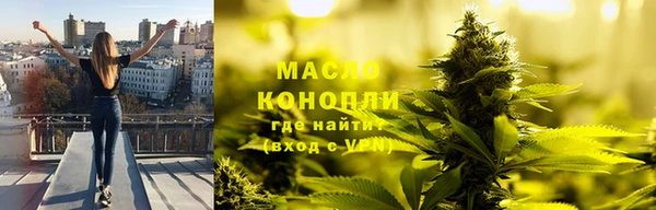 СК Богородск