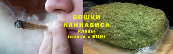 СК Богородск