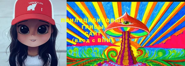 дмт Богородицк