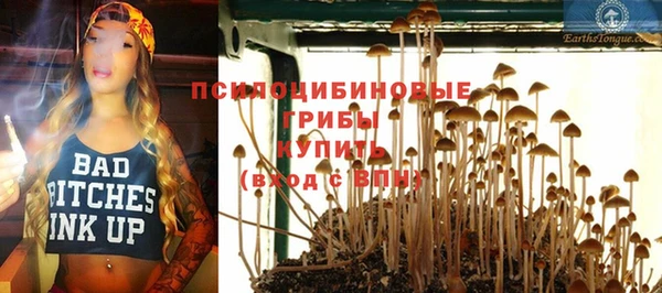 ALPHA-PVP Богданович