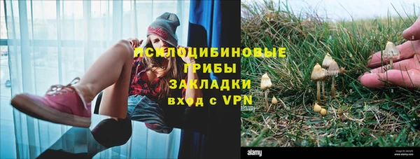 ALPHA-PVP Богданович